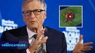 VÉRIF' - Bill Gates est-il à l'origine d'une vague d'allergies transmises par des tiques visant à rendre la population végétarienne ?