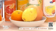 Ils contiennent des fibres, sont faibles en calories et facilitent le transit : les agrumes, des alliés rafraîchissants et bénéfiques pour la santé en période de chaleur