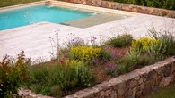 Envie de verdure dans votre jardin ? Voici les végétaux à planter autour de votre piscine