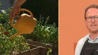 "Arroser en grosse quantité tous les trois jours" : toutes les astuces d'un jardinier pour entretenir ses plantes d'intérieur et son potager pendant la canicule
