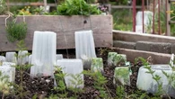 Désherbage, mise en place d'un arrosage automatique, paillage… Voici ce que vous devez faire dans votre jardin avant de partir en vacances