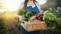 Potager : voici tout ce qui attend les jardiniers au mois de juin