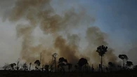 Les feux à un niveau historiquement bas en 2025 en Amazonie brésilienne