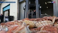 Saint-Jacques : la coquille abondante et... abordable