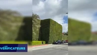 VÉRIF' - Jeff Bezos paye-t-il une amende de 12.000 dollars pour garder sa haie géante dans sa villa de Beverly Hills ?