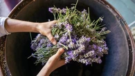 Relaxation, sommeil, digestion... Ces produits à base de lavande qui vous font du bien : "Ça parfume la chambre et ça aide à s'endormir"