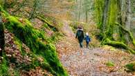 Se promener dans une forêt privée est-il passible d'une sanction aussi lourde que conduire en état d'ivresse ?