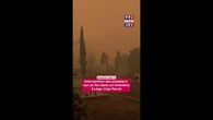 Incendies : les pompiers combattent un feu dans un cimetière à Lège-Cap-Ferret (Gironde)