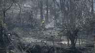 Un incendie fait un mort dans l'est de l'Espagne, près de Valence