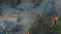 Incendie de Ribaute dans l'Aude en août 2025 : trois agents de l'Office national des forêts placés en garde à vue