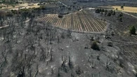EN IMAGES - Incendie dans les Pyrénées-Orientales : les flammes laissent place à des paysages de désolation