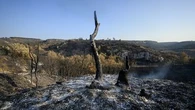 2.000 personnes participent à une rave-party sur les lieux de l'incendie de l'Aude : un "rassemblement aussi dangereux qu'indigne", fustige le préfet