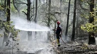 Incendies à Fontainebleau : un "guichet unique" ouvert pour "replanter" et "rebâtir" la forêt