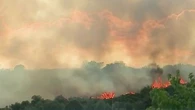 Un feu de forêt en cours en Charente, au moins 60 hectares déjà partis en fumée
