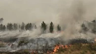 EN DIRECT - Incendies : des reprises "contenues" en Gironde, le feu des Landes "fixé"