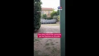 Incendies : ces sites industriels menacés par les flammes en Gironde