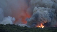 11.000 hectares ravagés, "c'est la superficie de Paris", souligne sur TF1 la secrétaire générale de la préfecture de l'Aude