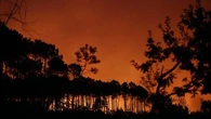 EN DIRECT - Incendies : 2.000 hectares brûlés en Gironde, au moins 12.000 personnes évacuées au total