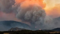 "Une proposition de loi prioritaire" : des députés appellent à adapter les forêts aux effets du changement climatique