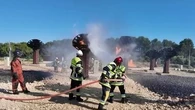 "Habituer les pompiers à ces chaleurs extrêmes" : un journaliste de "Bonjour !" aux côtés des soldats du feu sur une plateforme d'entraînement