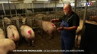 Loi Duplomb promulguée : ce qui change pour les agriculteurs
