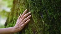 Longe-côte, sylvothérapie, géothérapie... quand la nature (re)devient notre plus grand allié bien-être