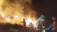 "Une année particulière" : Ardennes, Lozère, Savoie, Oise... comment expliquer la précocité des feux de forêt ?