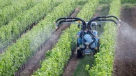 Pesticides : comment se protéger dans les zones viticoles concernées par la surexposition ?