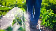 Crise des engrais : le gouvernement débloque 145 millions d'aides d'urgence aux agriculteurs face à la hausse des prix