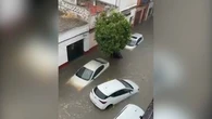 Inondations en Espagne : le sud de l'Andalousie et Séville sous les eaux, après des pluies torrentielles