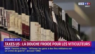 "On va devoir se séparer d'une dizaine de personnes" : la douche froide pour les viticulteurs français après l'instauration des droit de douanes