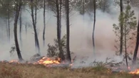 "On ne consomme pratiquement pas d'eau" : le "feu tactique", cette technique utilisée par les pompiers pour tenter de contenir l'incendie en Gironde