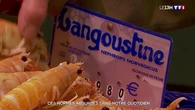 Ces normes absurdes dans notre quotidien