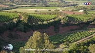 Pionnier : le vigneron qui cultive l'eau !