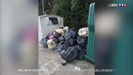 Déchets sauvages : à Saintes, "1 000 euros pour les crados" !
