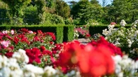 Cueillir des fleurs en ville peut coûter (très) cher à votre porte-monnaie !