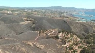 "Il n'y a plus un arbre, c'est un crève-cœur" : les ravages de l'incendie à Marseille vus du ciel