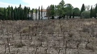 "On a pris le chien et laissé le repas" : dans l'Aude, la colère et le désarroi des habitants après un nouvel incendie
