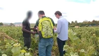 "Ce n'est pas normal d'être payé 60 euros par jour" : les contrôles se multiplient dans les vignobles de Champagne