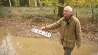 "Marre de voir la forêt française saccagée" : la colère d'un village des Ardennes face aux touristes belges en 4x4