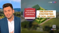 Que puis-je faire (ou pas) dans mon jardin ? Le 13H à vos côtés