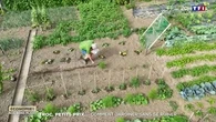 Troc de plantes et graines maison : comment des passionnés réduisent leurs dépenses de jardinage... et d'alimentation
