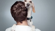 Pourquoi les chiens ressemblent-ils généralement à leur maître ?