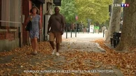 Pourquoi autant de feuilles mortes sur les trottoirs