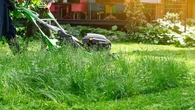 Et si vous laissiez votre tondeuse au garage ? Transformez votre jardin en refuge pour la biodiversité et profitez des bienfaits d'une herbe haute