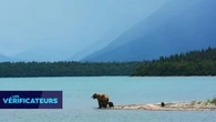 VÉRIF' - La Russie remet elle vraiment en cause la vente de l'Alaska aux Etats-Unis en 1867 ?