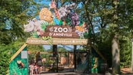 "Les comportements des espèces seront attentivement analysés" : au zoo d'Amnéville, une pianiste donnera un concert aux girafes, aux otaries et aux orangs-outans