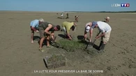 La lutte pour préserver la baie de Somme