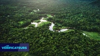 VÉRIF' - COP30 : un milliardaire a-t-il acheté 400.000 hectares de forêt amazonienne pour la protéger ?