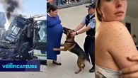 VÉRIF' - Vidéos de chiens, d'accidents... Ces pages Facebook qui trompent avec l'IA pour gagner de l'argent
